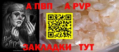 дживик Моздок