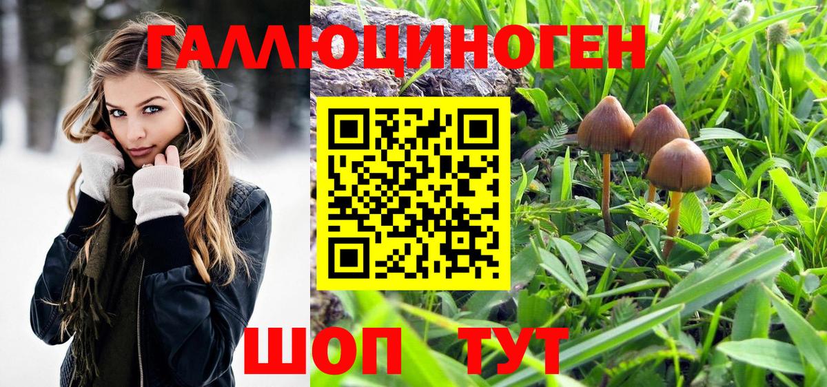 Йошкар-Ола  купить   Псилоцибиновые грибы MAGIC MUSHROOMS  Вход с VPN  Псилоцибиновые грибы ЛСД 